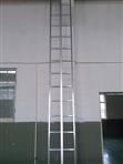 Aluminum Vertical Ladder